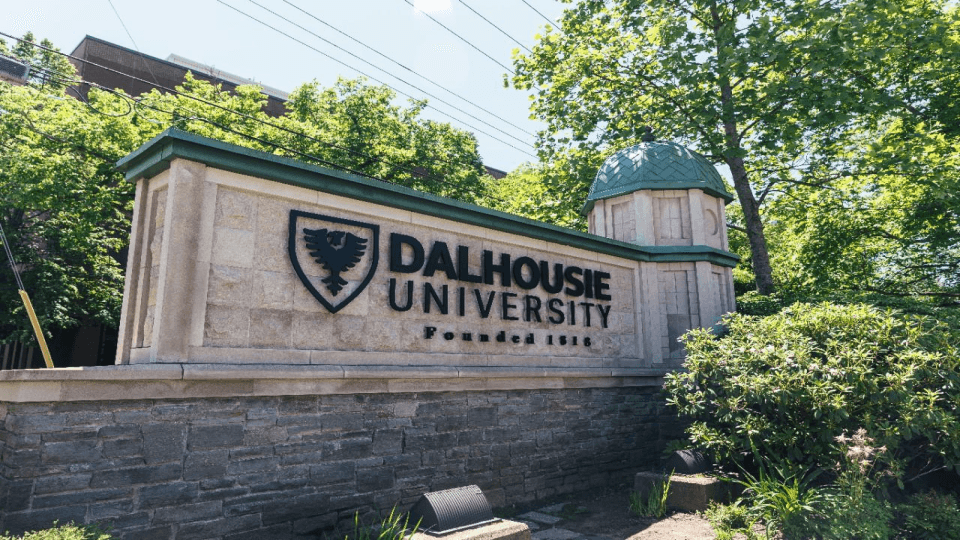 Université Dalhousie