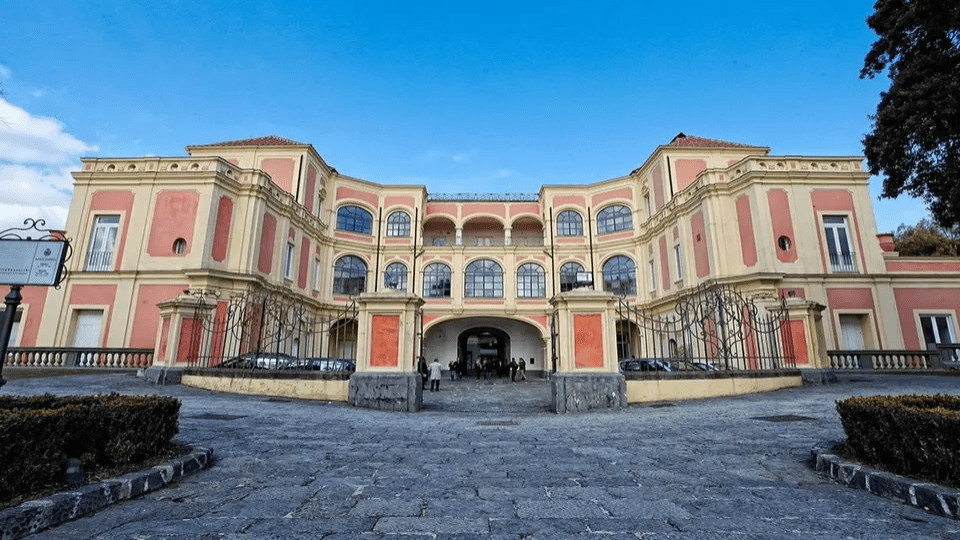 Université Pegaso