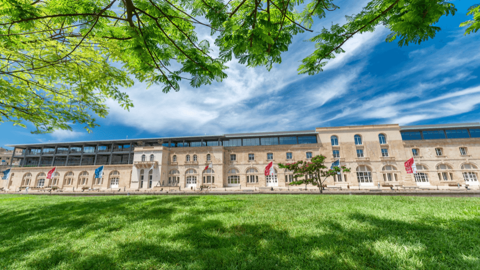 Université américaine de Malte