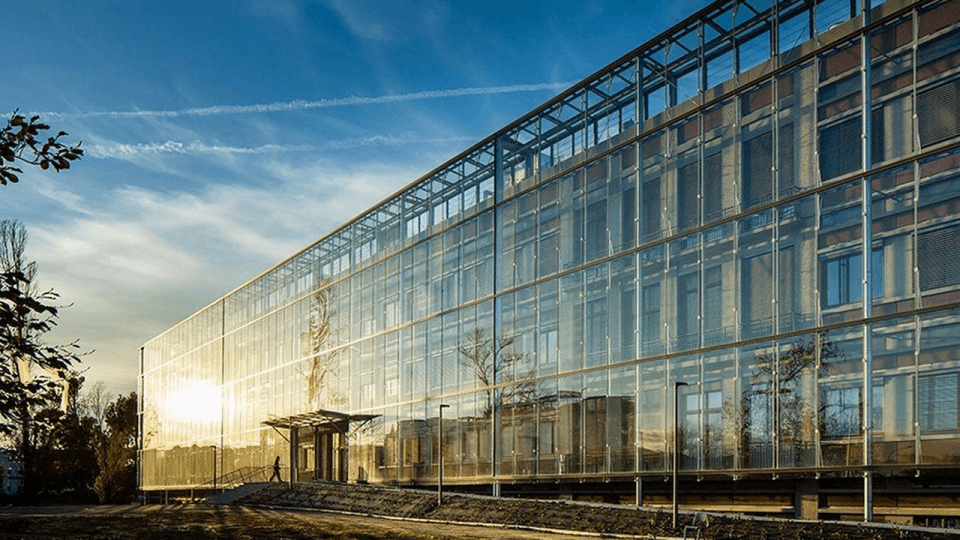 Université de Bordeaux