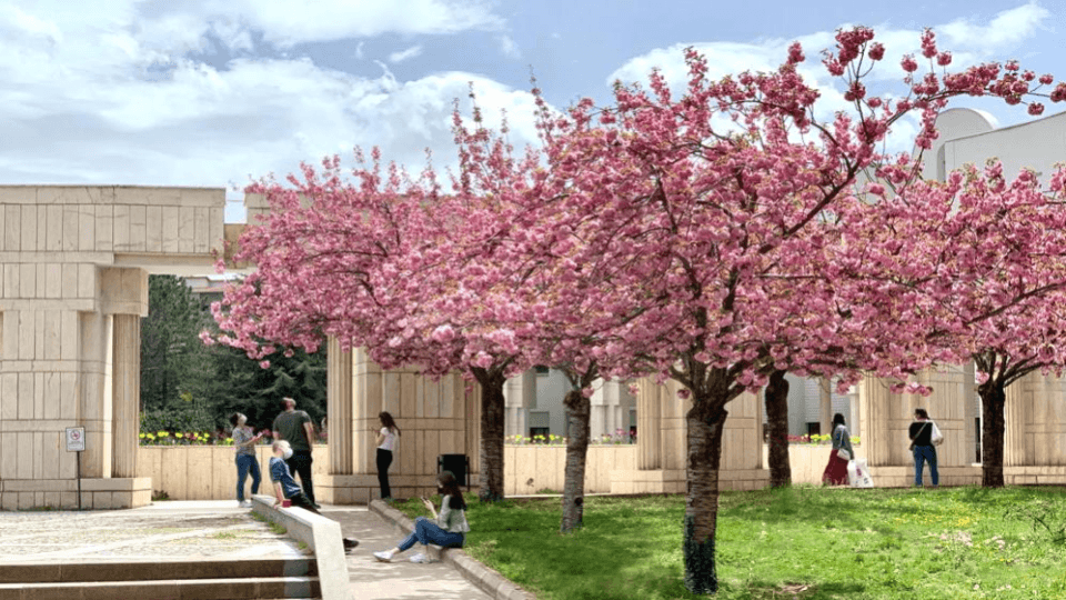 Université Bilkent