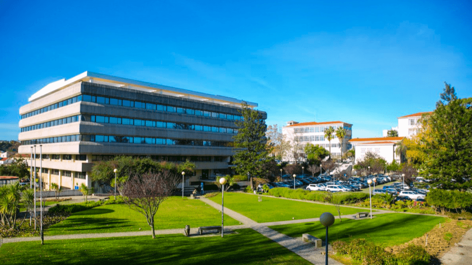 Université Catholique du Portugal