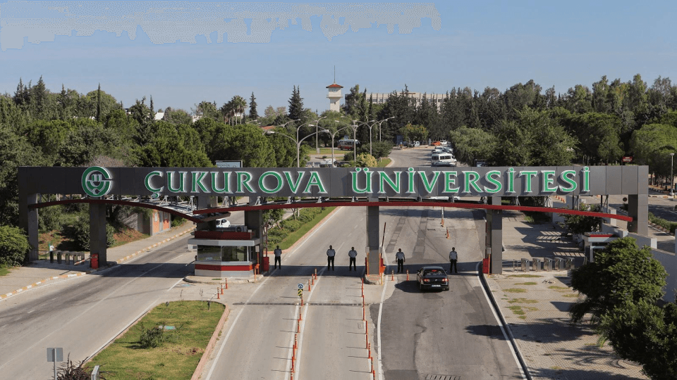 Université Çukurova