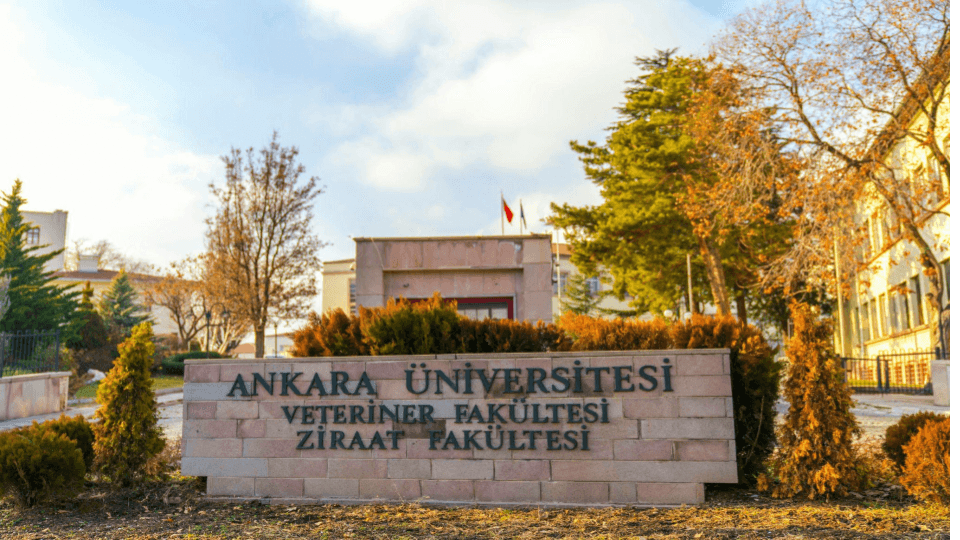 Université d'Ankara