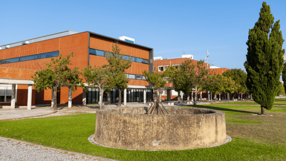 Université d'Aveiro